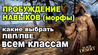 Пробуждение навыков (морф) для ПВП/ПВЕ в BDO ДЛЯ ВСЕХ КЛАССОВ - Black Desert (MMORPG)