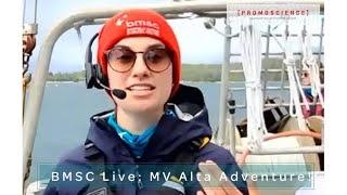 BMSC LIVE: Alta Adventure on the High Seas! Part 2