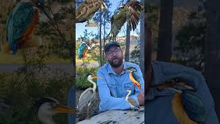 Siskiyou Land Trust- Online Auction Shore to Shore