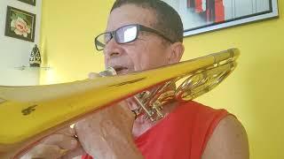 EXERCICIOS PARA NÃO FAZER PRESSÃO NOS LABIOS COM O TROMBONE