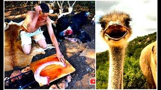 Cooking Ostrich Neck Biggest Bird in the World!!