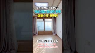 381 안산투룸빌라매매 거실 있는 깨끗한 투룸 주차가능 로얄 3층 #short #shorts #shortvideo #shortsvideo