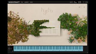 Kontakt 8 Player Grab it for Free | Komplete Start Free Bundle @NativeInstruments