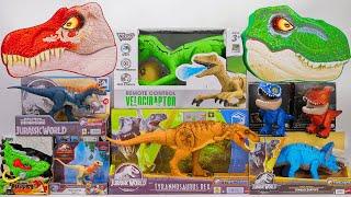 Jurassic World Unboxing Review ASMR | Dinosaur Head Mystery Box, RC Velociraptor, Dinosaur Tools