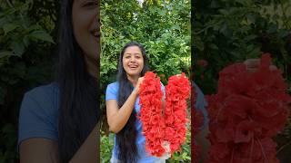 Mini Vlog 89 #kokan #ganpati  #flowers #hibiscus #fatherdaughter  #swanandisardesai #villagelife