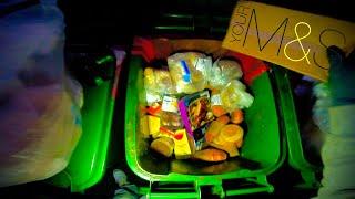 IT COULD FEED 100 PEOPLE  PERFECT FOOD WASTED // DUMPSTER DIVING