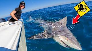 Catching SEA MONSTER SHARK On Shark Infested Beach! (Can Sharks Smell Blood?)