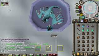 Ranged Vorkath Guide (Blowpipe/DHCB) (OSRS)