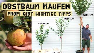 Das solltest du unbedingt wissen bevor du einen Obstbaum kaufst! Baumschulprofi klärt auf!