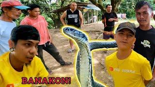 BULAG NA KING COBRA, NA RESCUE SA DAVAO DEL NORTE! #CobraTeam #kingcobra #Banakon #Cobra #davaocity