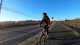 Bike the Napa Vine Trail to Yountville