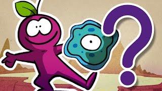 What was the the first living thing? ― Curiosamente Season 2 Episode 10.