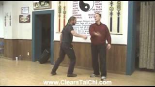 Combat Tai Chi Vol 1A: Dynamic Standing
