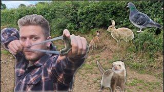 Slingshot Hunting Pigeon Ferreting Rabbits Catch and Cook