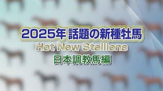 2025 新種牡馬紹介（日本調教馬編） | JRA公式