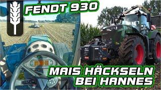 Maishäckseln bei @landwirt_in_mv 2022 | Lets drive Fendt Vario 930