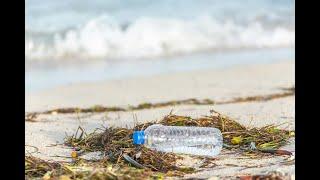 Cleaning Up Long Island's Beaches with Joe Labriola
