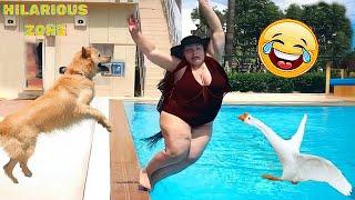 Funny & Hilarious People Life  #87 | TRY NOT TO LAUGH  | Instant Regret Fails Compilation 2024