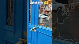  Привет из Санкт-Петербурга)))  #shorts