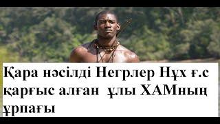 Нұх пайғамбар (ғ а) қиссасы.  3 - бөлім.