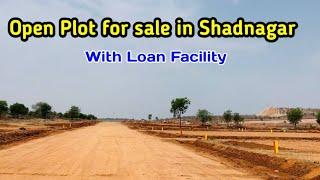 Open plot for sale in Shadnagar || with loan facility ||