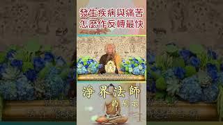 如何面對疾病與痛苦  | 淨界法師 | 佛法精要 | 胃病 | 醫不好 | 反轉 | 身心靈 | 健康  | 妄心 | 南無阿彌陀佛