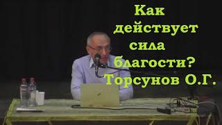 Как действует сила благости? Торсунов О.Г.