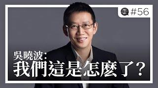 吳曉波：我們這是怎麽了？|《歪。播客》• 第56集