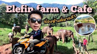 Elefin farm and cafe ขับรถเที่ยวหาน้องช้าง | WOLF STUDIO| VLOG