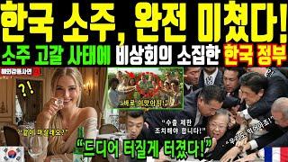 [해외감동사연] 전 세계를 집어 삼키고 있는 한국 소주. 미국, 필리핀, 인도네시아, 프랑스, 베트남, 한국 소주 때문에 일어나고 있는 실제 상황들