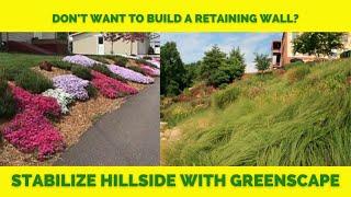 HILLSIDE STABILITY USING PLANT MATERIAL | HOW TO and What Plants to Use