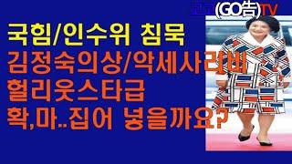 국힘/인수위 침묵,김정숙 의상비 악세사리비  헐리웃 스타급,확,마.. 집어 넣을까요?