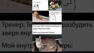 #Коты #Мемы #Котики #Мур #Котэ #Мяу #2025 #Котовасия #Котомания #Котофей #Кот #Кошка #Котёнок #Мем