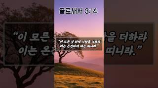 주님의 사랑으로 채워지는가정 되게 하소서 | 골로새서 3장 14절 | 하루를 시작하는 기도 | 아침을 여는 기도