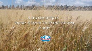 2023 Dancing Shavuot  רוקדים שבועות 4