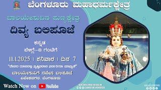 11.01.2025 | Novena Day 7 | Kannada Live Mass | Infant Jesus Shrine, B'lore