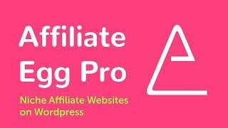 Affiliate Egg Pro Plugin - How it works