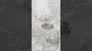 Водоворот 13.12.2022