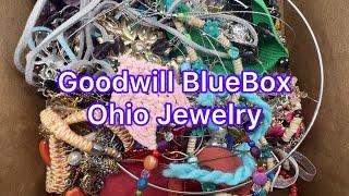 Goodwill Bluebox 5 Pound Mystery Jewelry Box 925 Sterling Abalone #jewelry #unboxing #goodwill