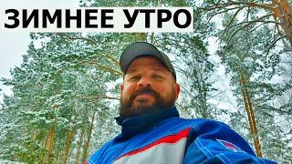 ЗИМНЕЕ УТРО / ЕЛКИН ДВОР