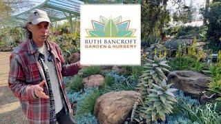 Touring the “Most Beautiful Garden in the World” with the Curator!  Ruth Bancroft Garden Tour
