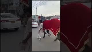 RAHWAR E HUSSAIN #zuljnah #gujrat