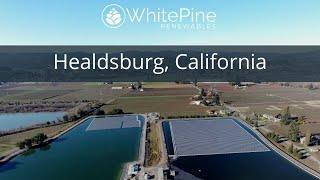 White Pine Renewables: Healdsburg, CA