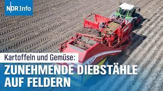 Obst- und Gemüsediebstahl: Ein wachsendes Problem für Landwirte | NDR Info