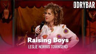 Raising Boys Is The Hardest Thing In The World. Leslie Norris Townsend