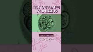 [실제] 시험관아기시술 배아 분열 과정을 보여드립니다 (feat. 타임랩스 배양기)｜광주미래와희망 난임 클리닉 제공