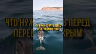 Что нужно знать перед переездом в Крым #крым #travel #недвижимостьвкрыму #квартирауморя #инвестиции
