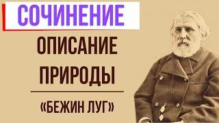 Описание природы в рассказе «Бежин луг» И. Тургенева