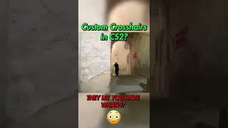 CUSTOM CROSSHAIRS IN CS2?!? (18+)