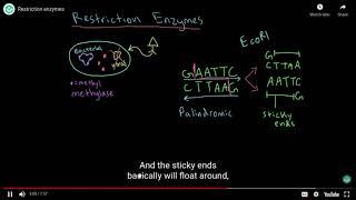 Day 2: Bio II notes Biotechnology notes